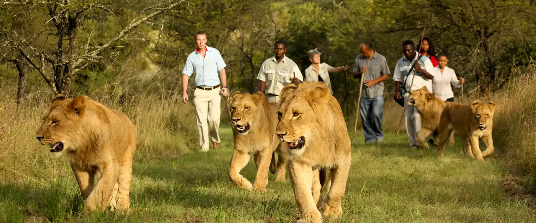 Become Adventurous at Casela World of Adventures