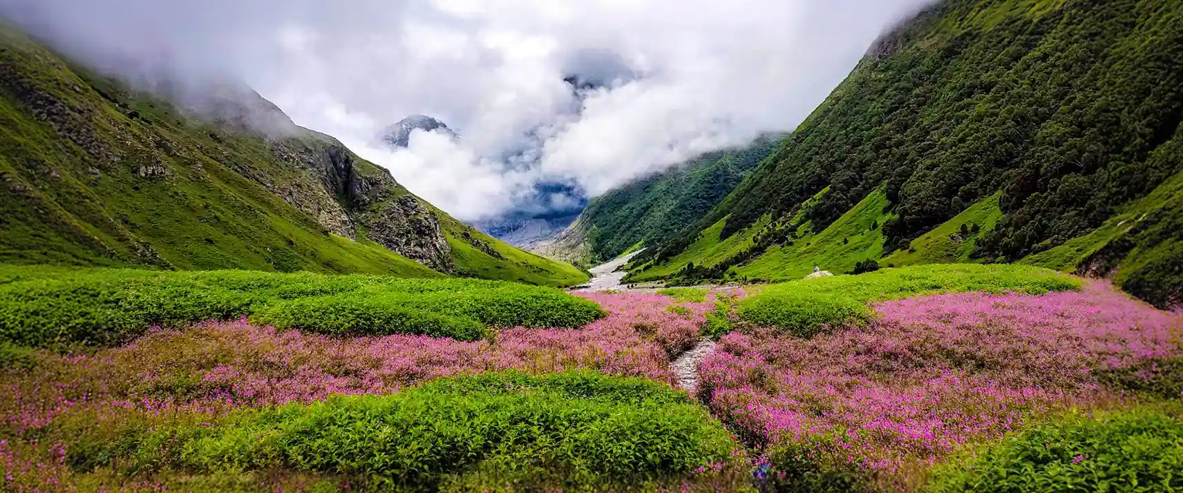 Valley Of Flowers