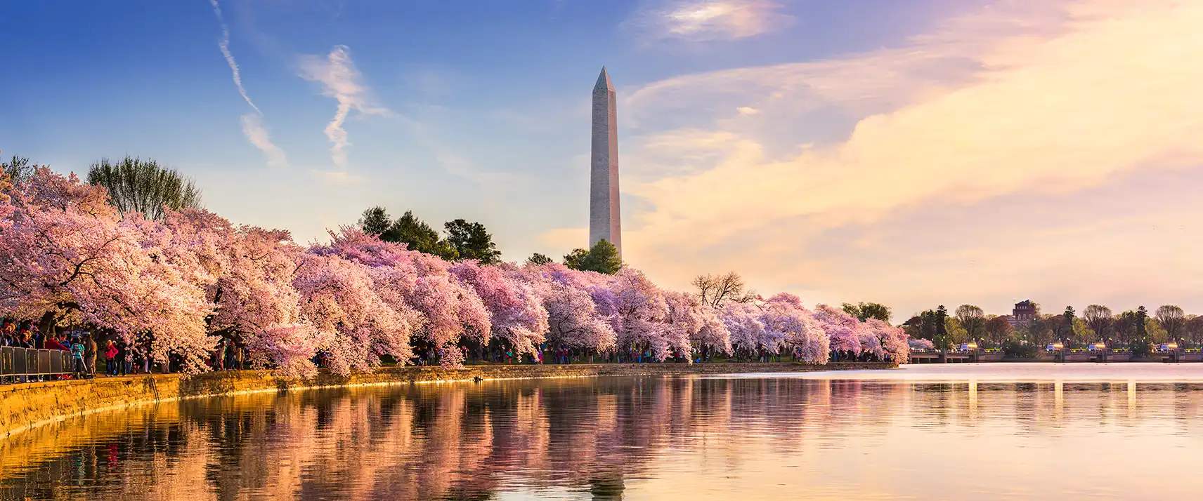 Visiting the US in April for Cherry Blossoms, Festivals & Coastal Cool