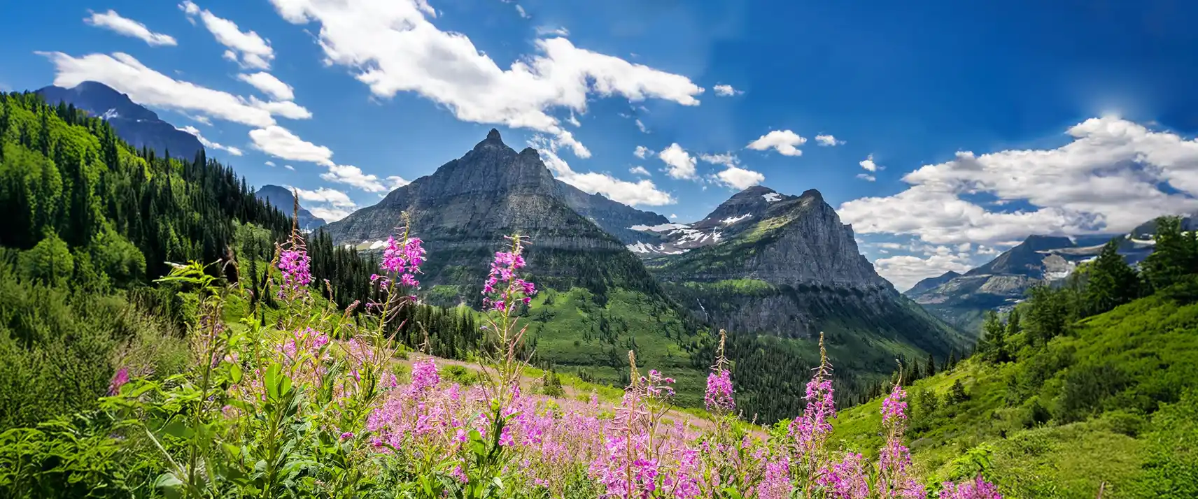 Visiting the US in June for the Start of Summer & Outdoor Explosion