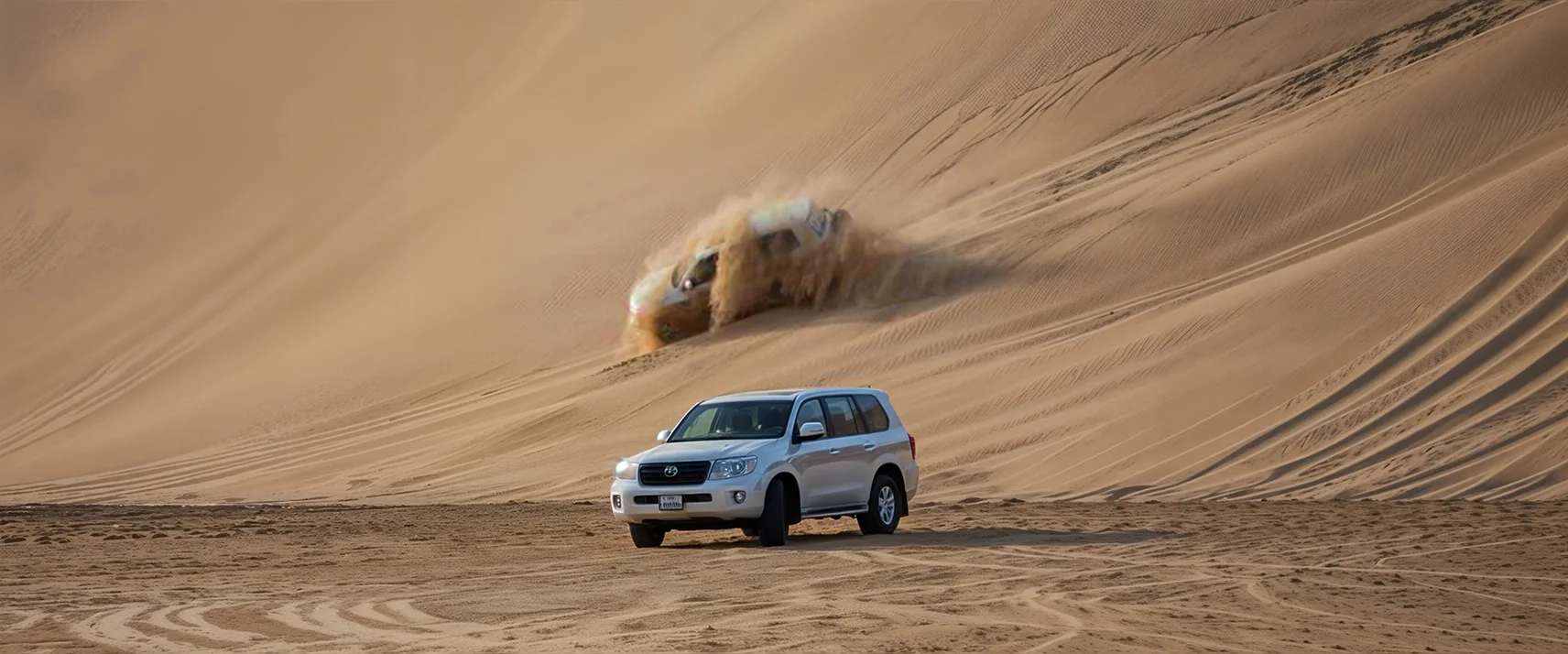 Thrill the Fun at Desert Safari