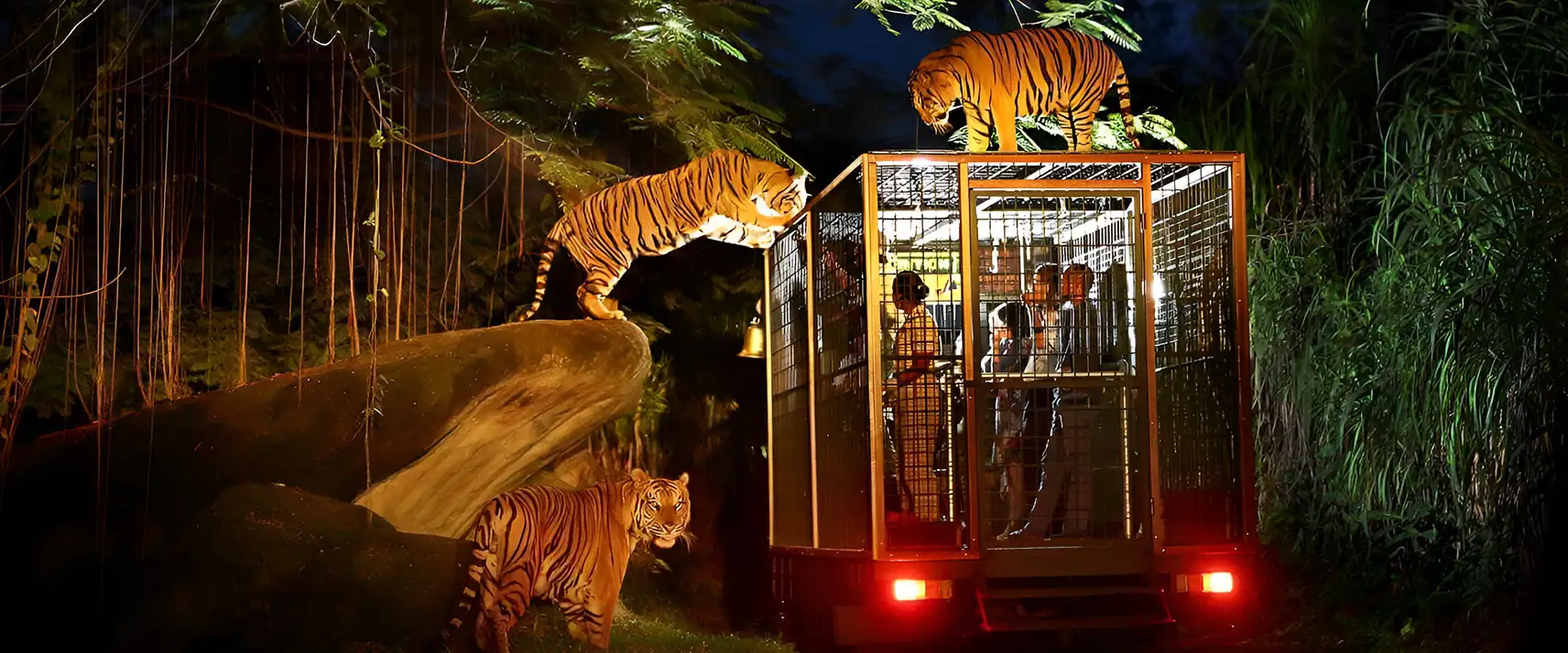 Night Safari in Bali