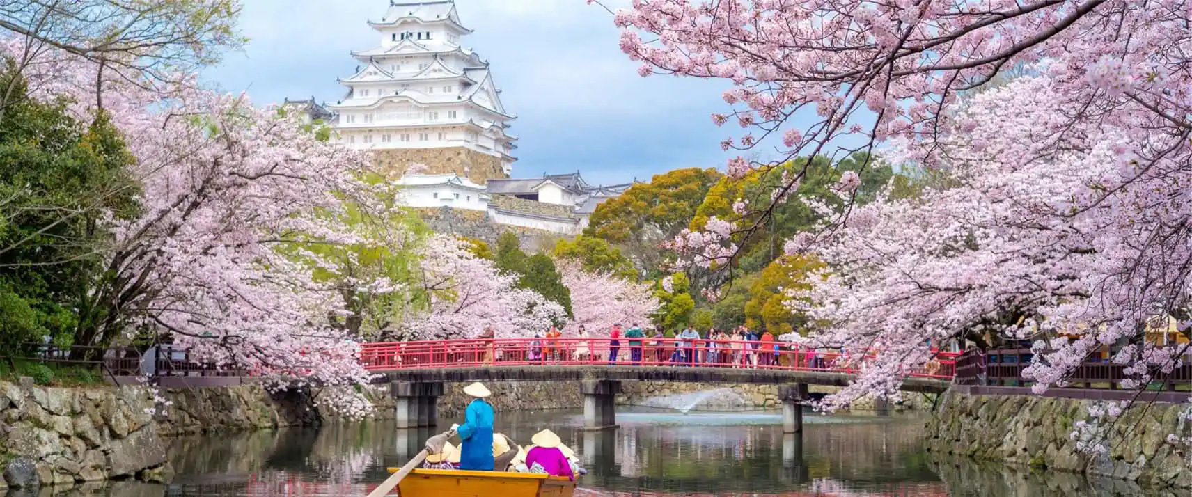 Cherry Blossom in Kyoto 2025