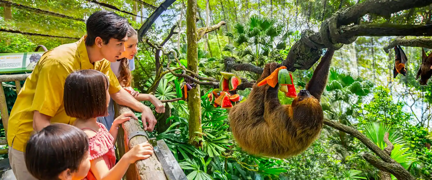 Witness Wildlife at Singapore Zoo