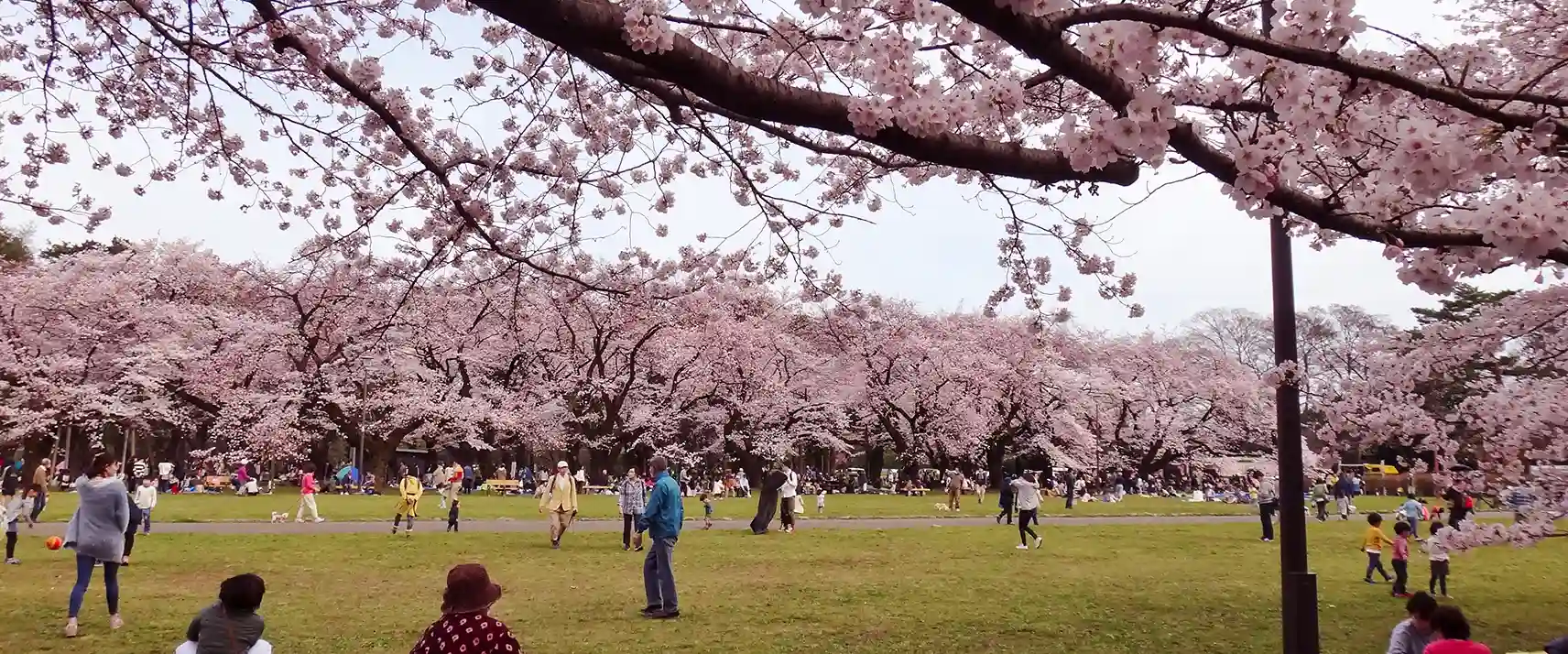 Koganei Park