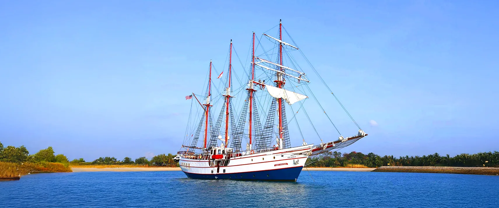 Take the Sunset Sail Cruise Royal Albatross
