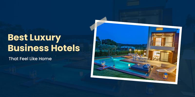 Best Luxury Business Hotels That Feel Like Home