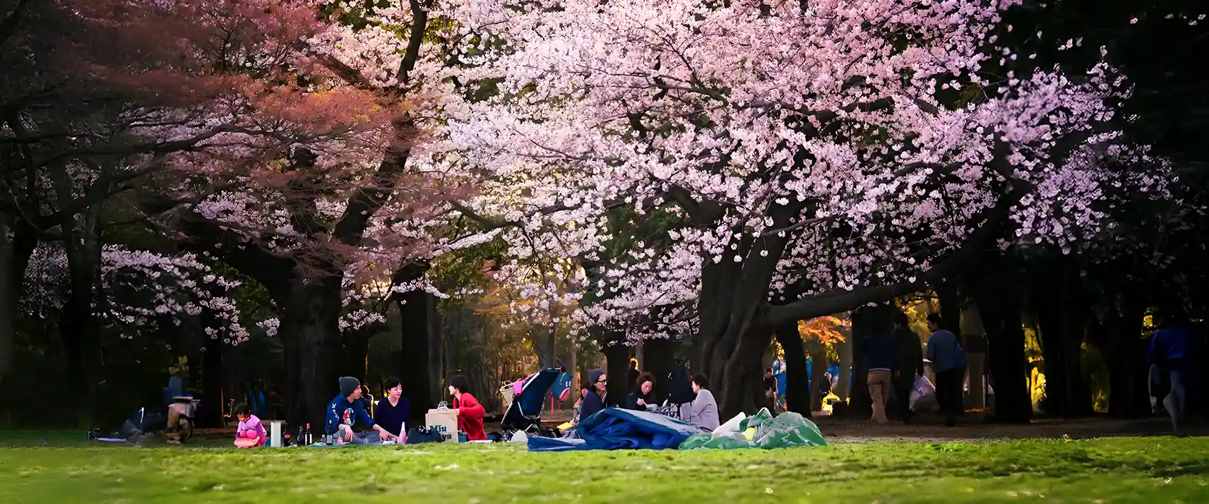 Yoyogi Koen