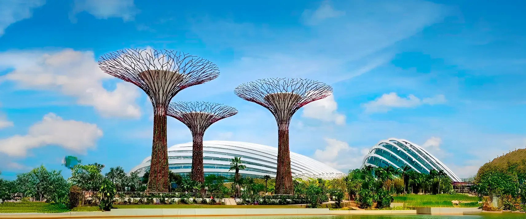 Gardens by the Bay