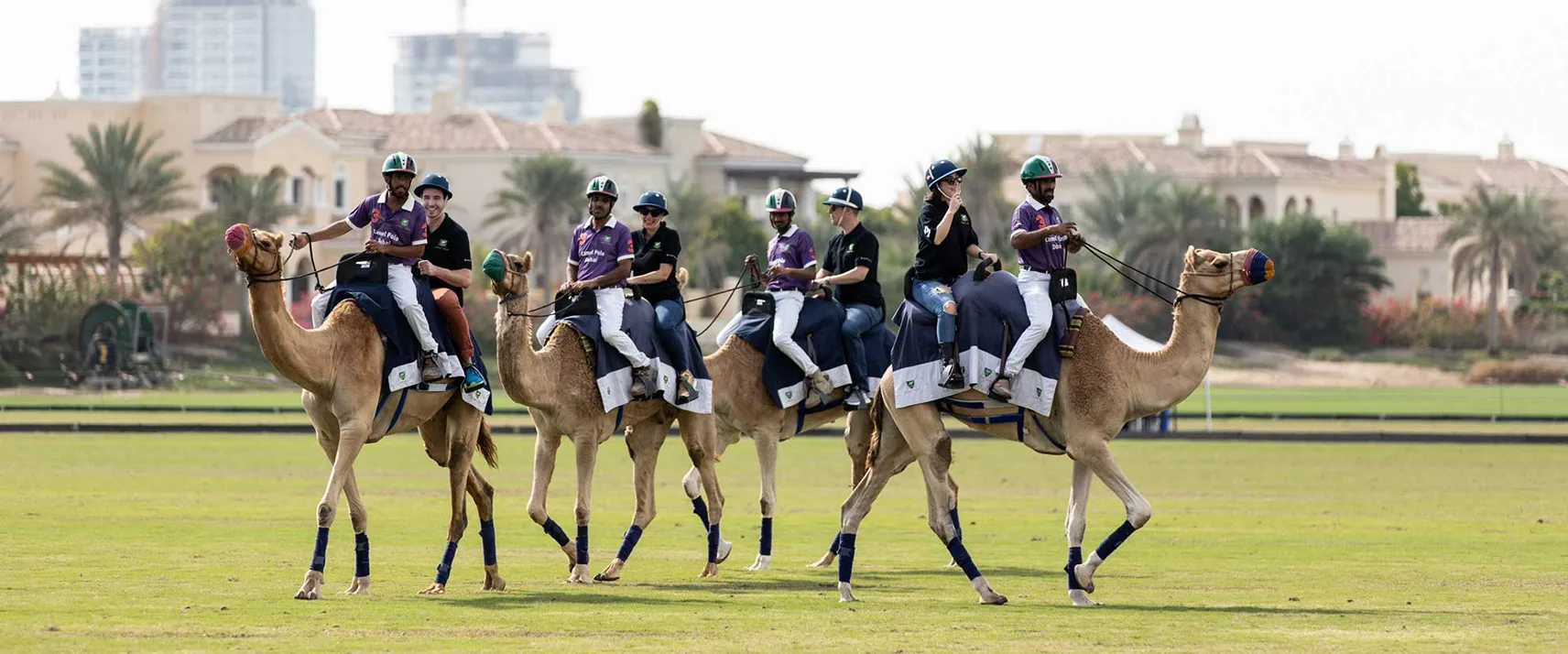 Camel Polo