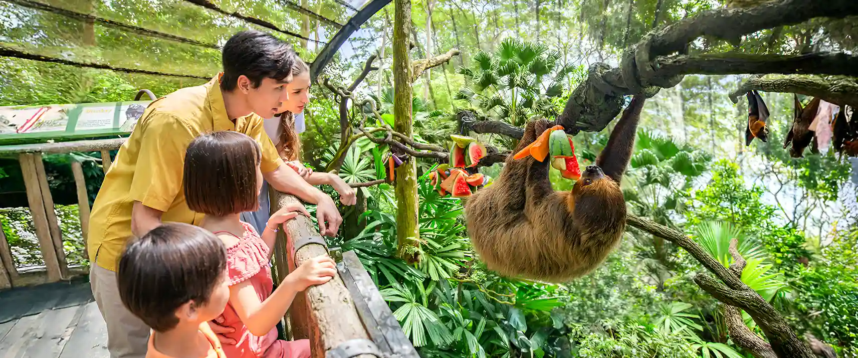 Singapore Zoo