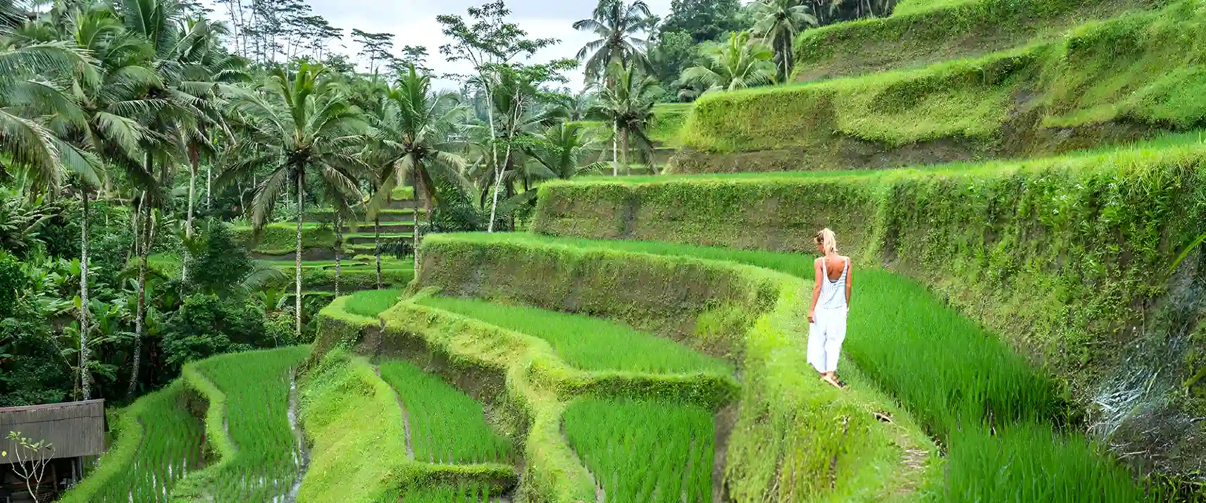 Bali in February