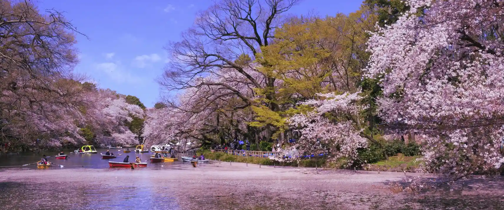 Inokashira Park