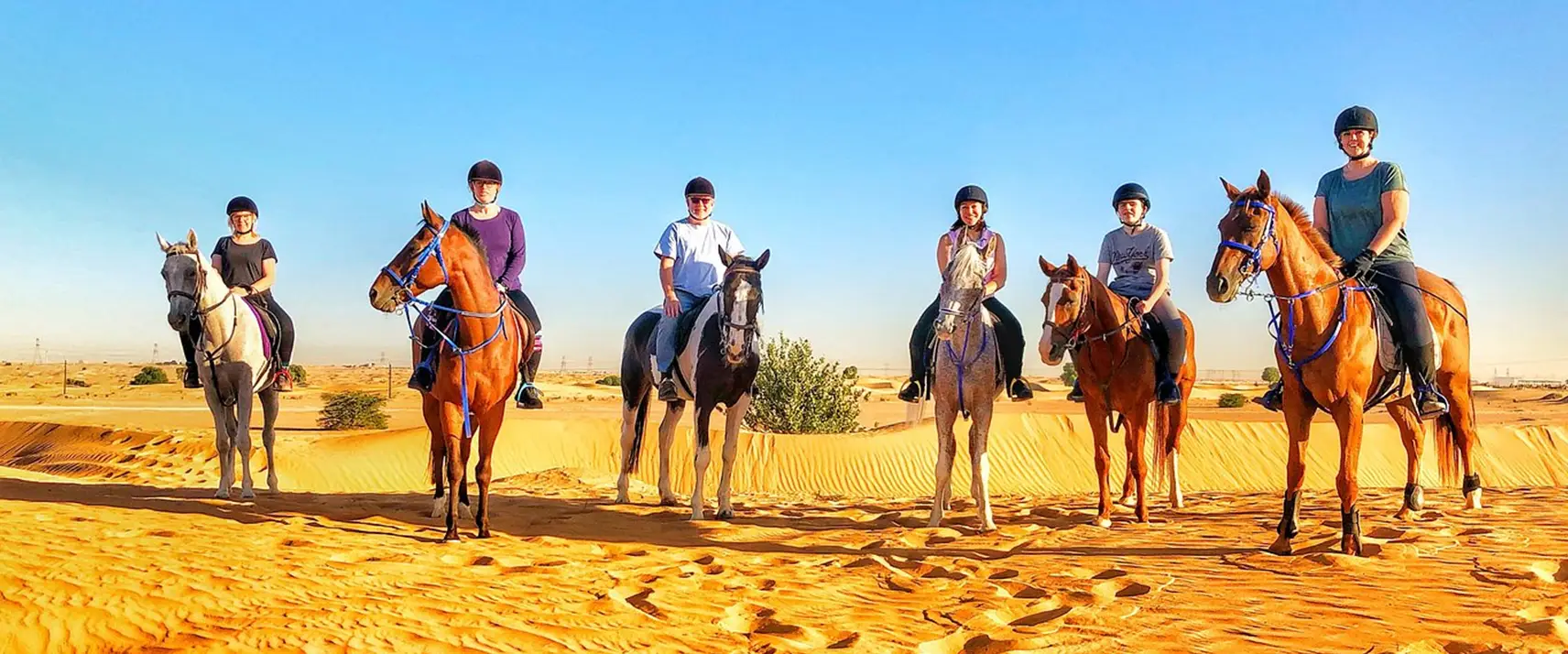 Horseback Riding