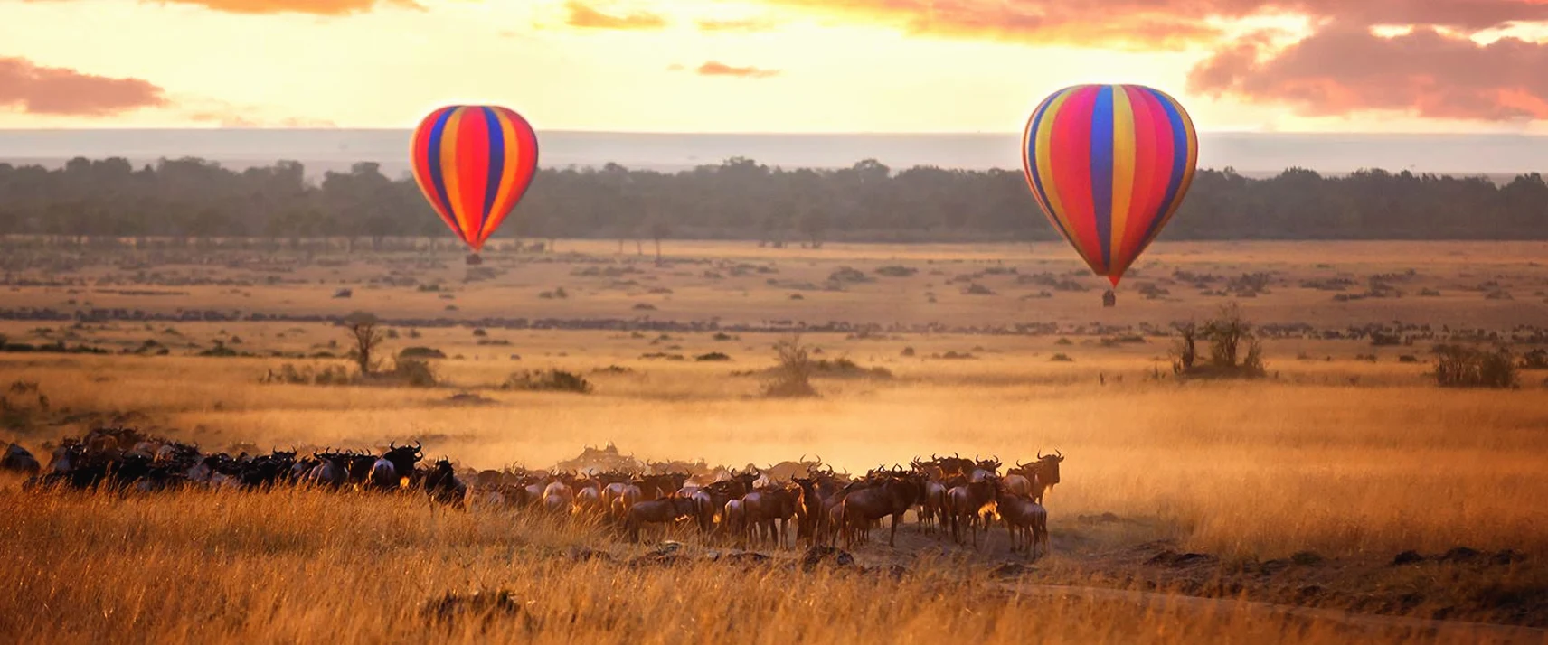 Hot-Air Balloon