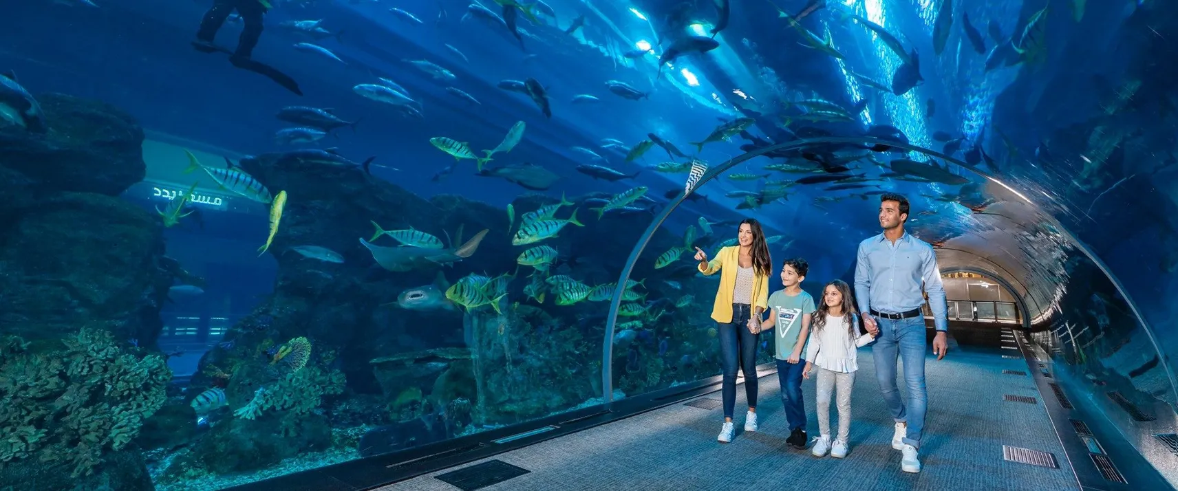 Dubai Aquarium and Underwater Zoo