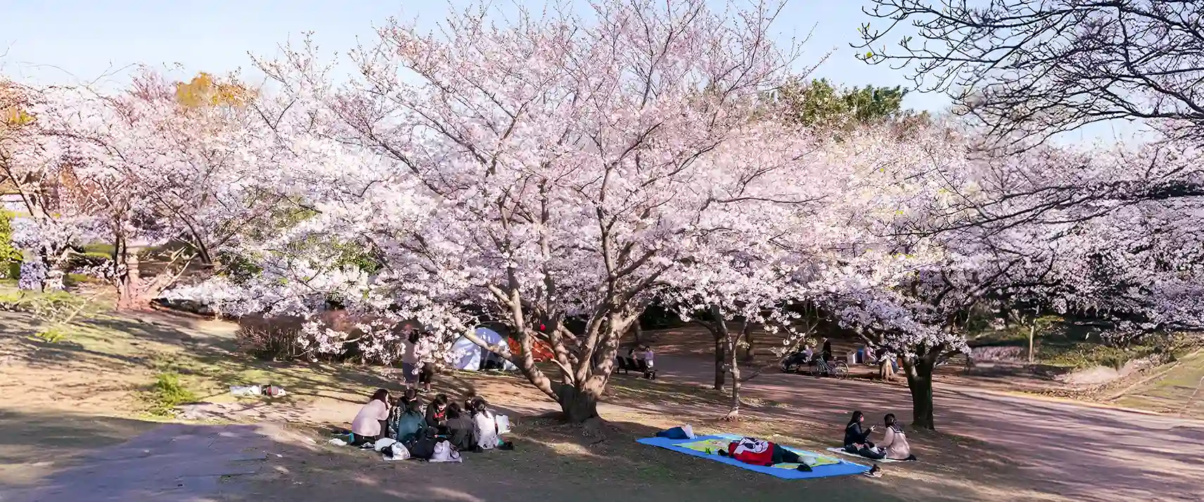 Kasai Rinkai Park