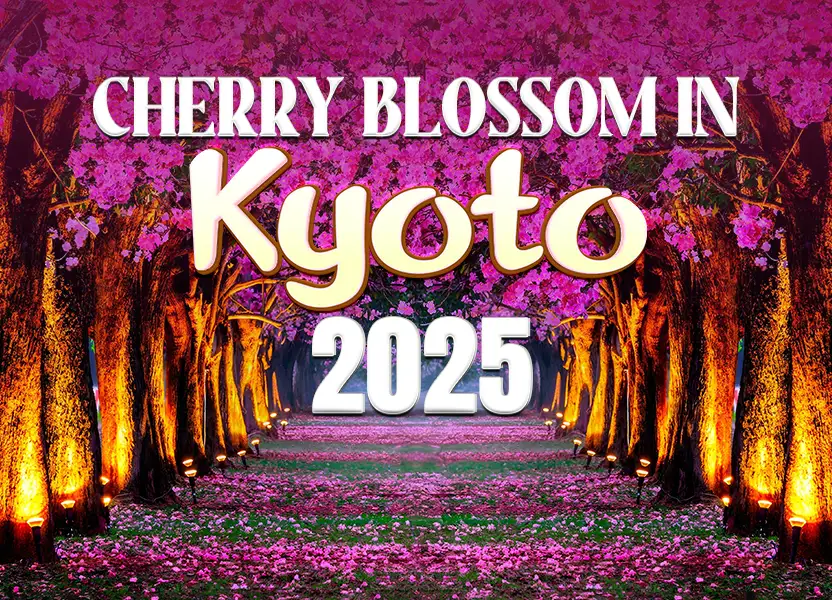 Cherry Blossoms in Kyoto 2025