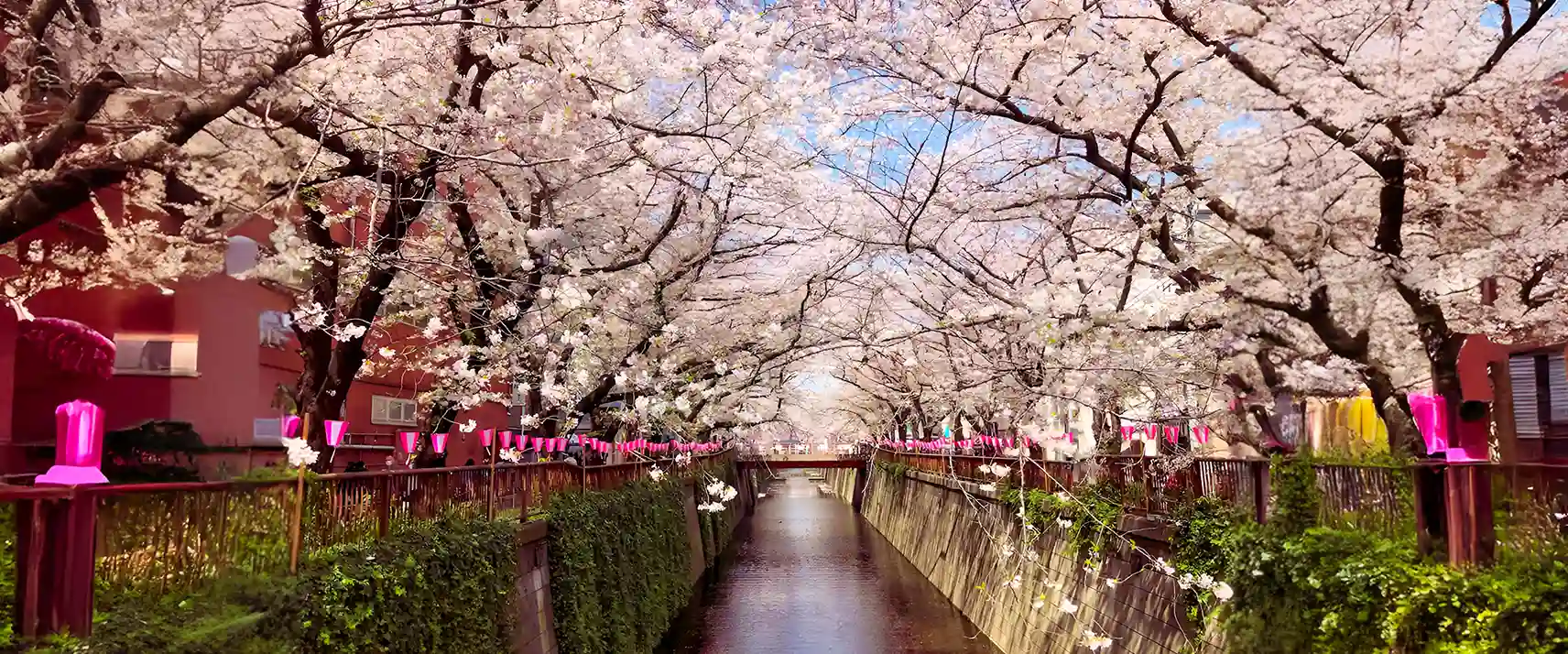 Yanaka Cemetry