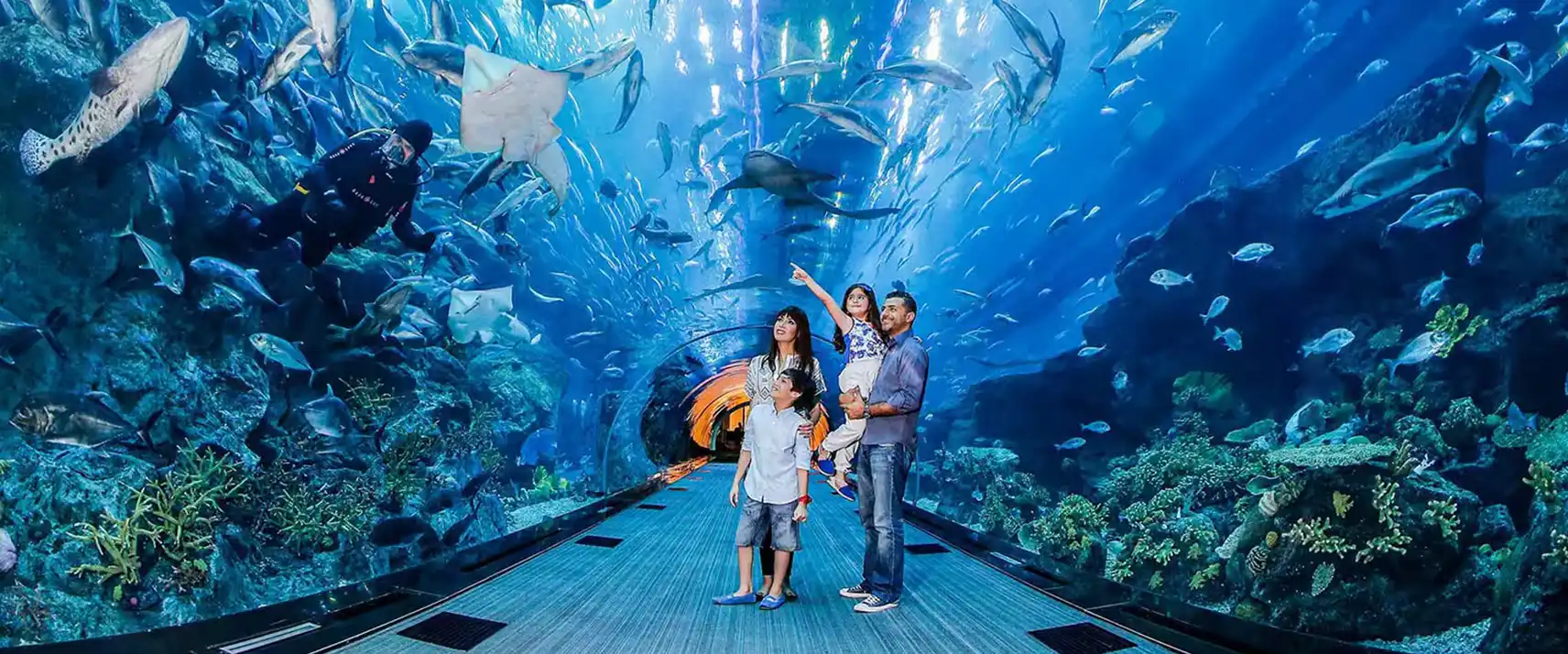 Dubai Aquarium and Underwater Zoo