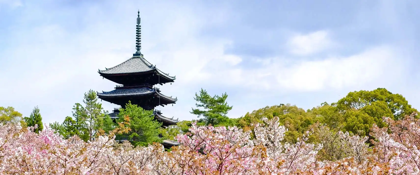 Ninnaji Temple