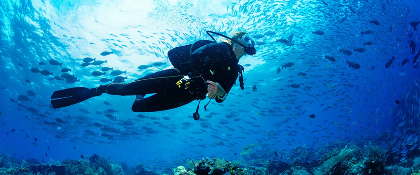 Scuba Diving