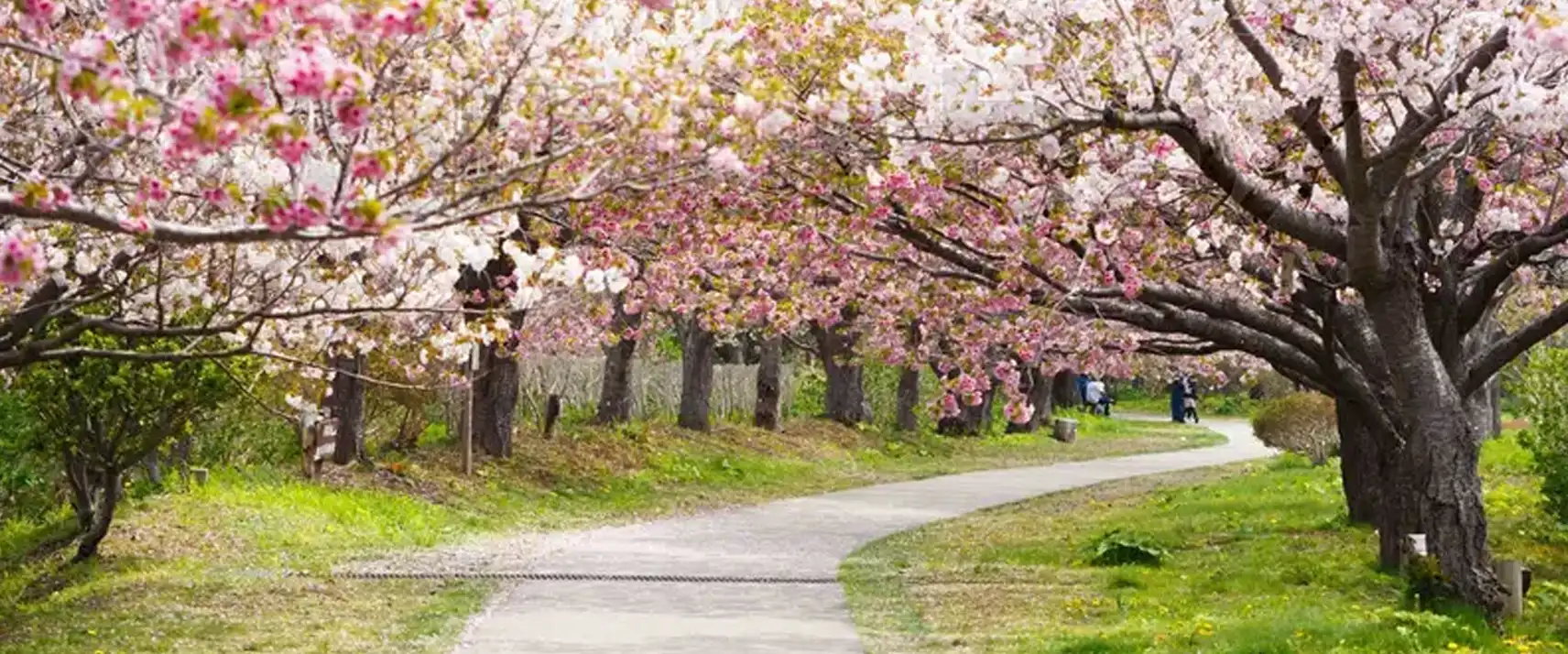 Matsumae Park