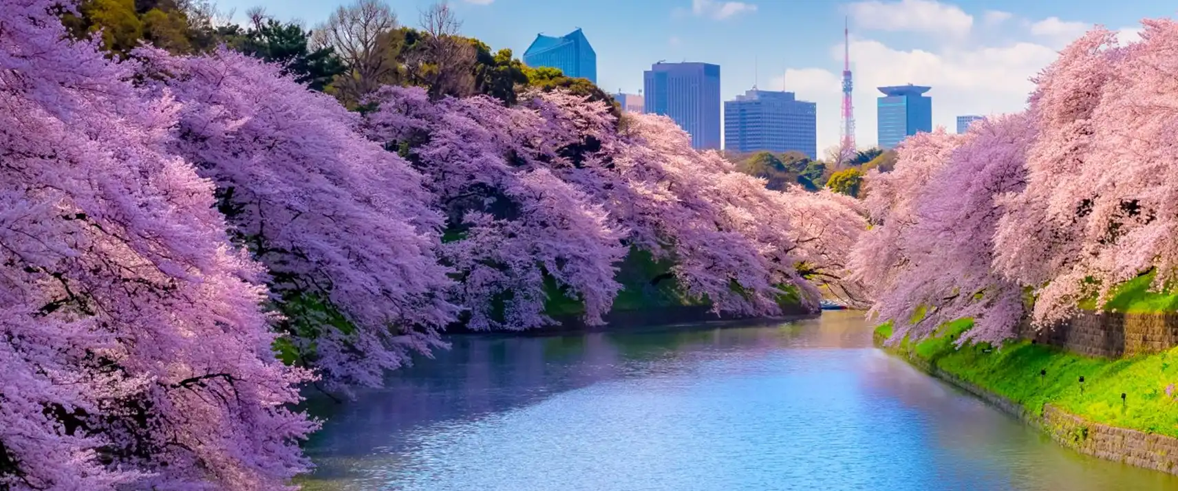 Chidorigafuchi