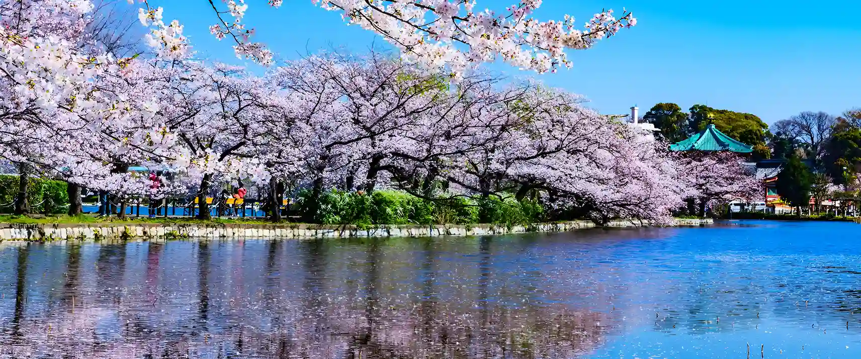 Ueno Park: Oldest Park in Japan