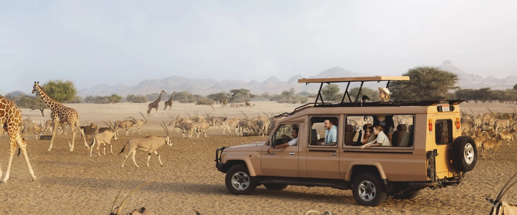 Sir Bani Yas Island Safari