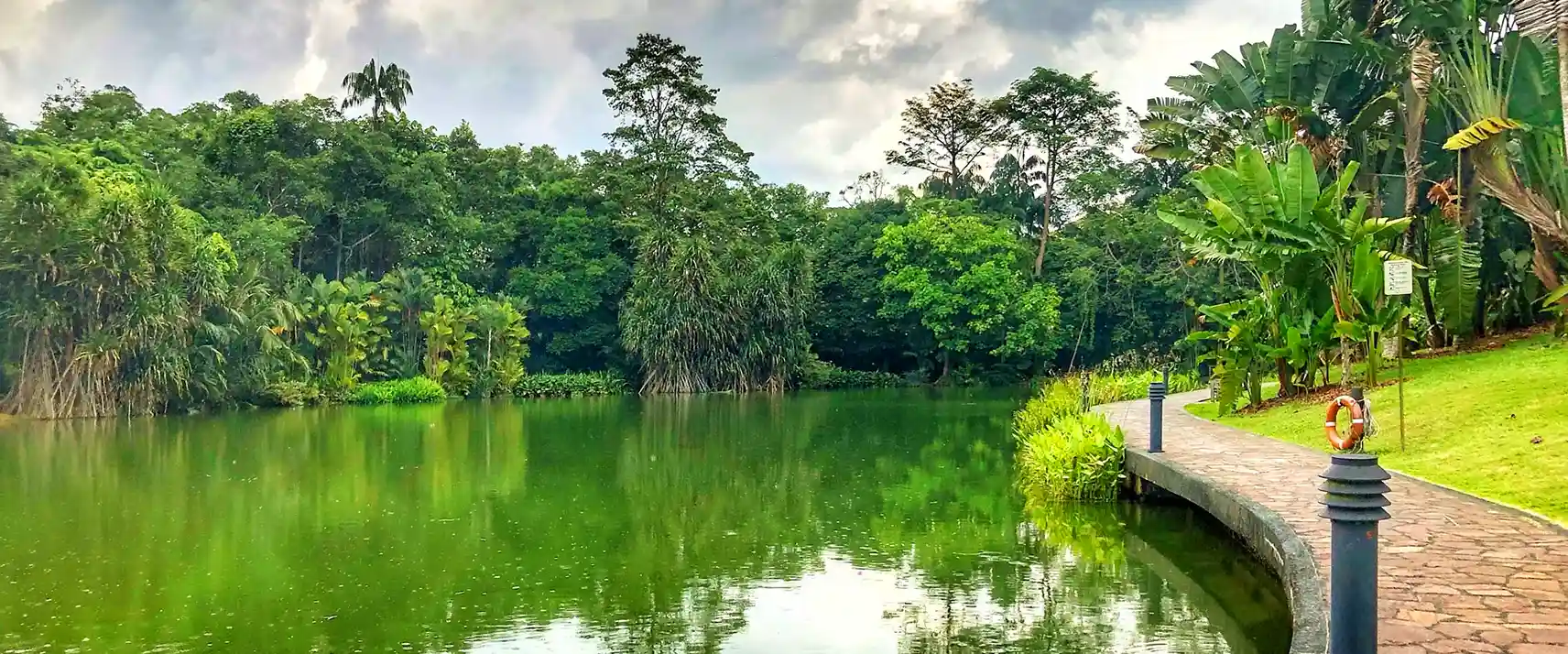 Express Your Love in Nature at Swan Lake