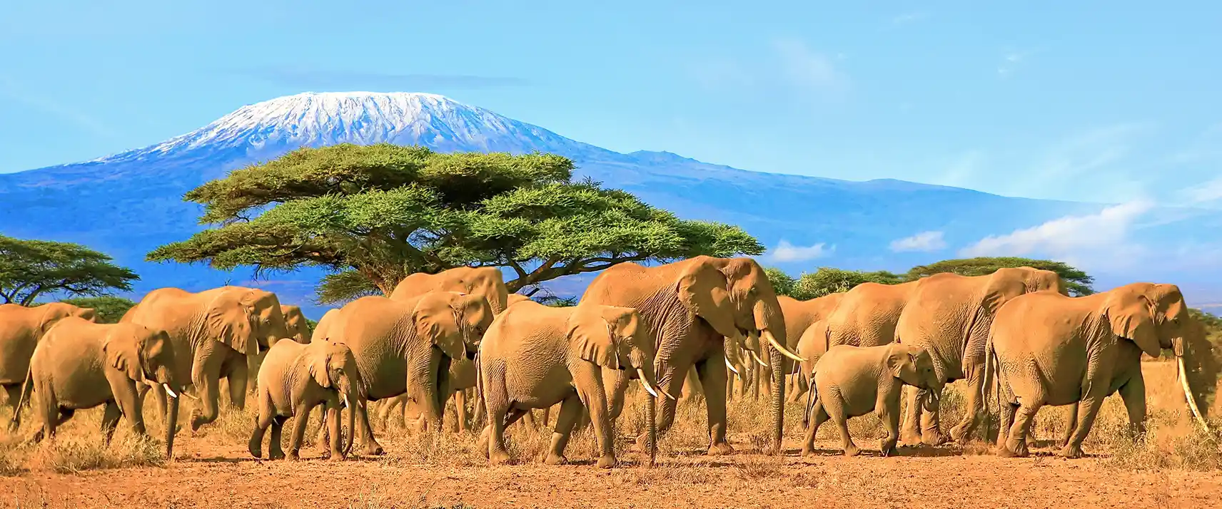 Tanzania