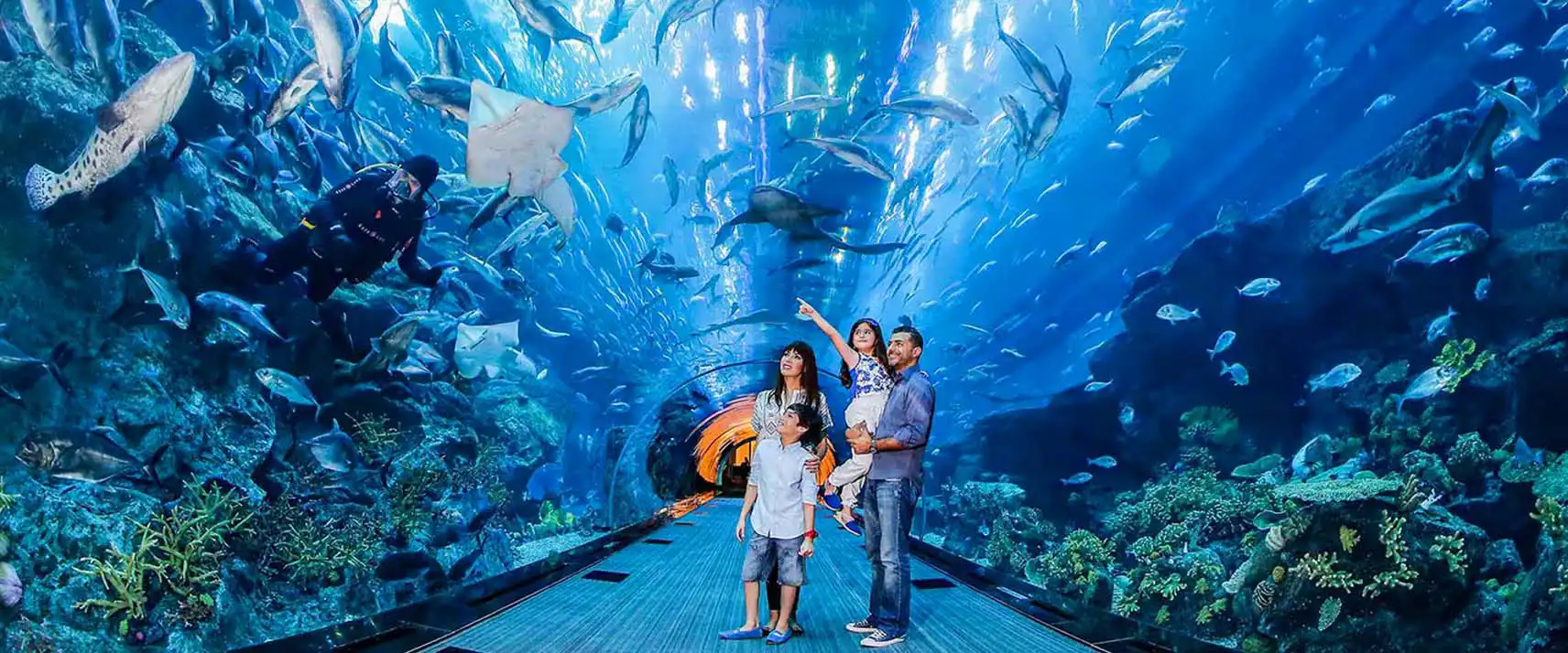 Dubai Aquarium & Underwater Zoo