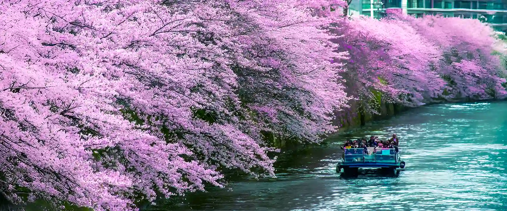 Meguro River