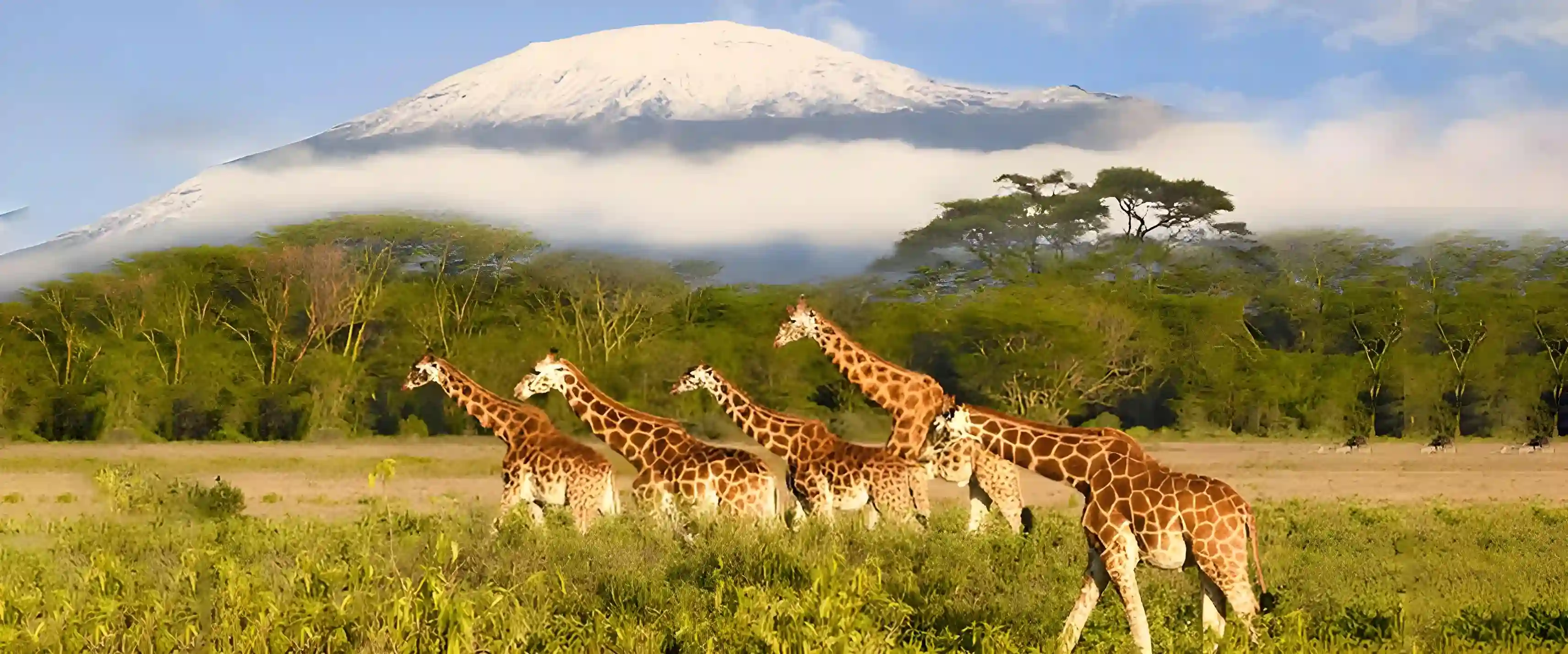 Tsavo National Park