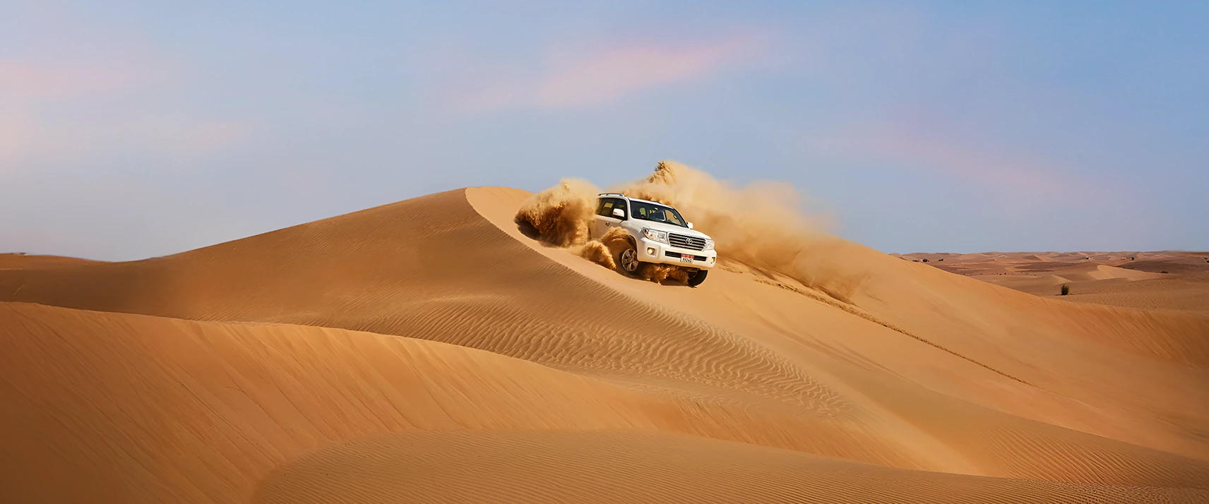 Desert Safaris