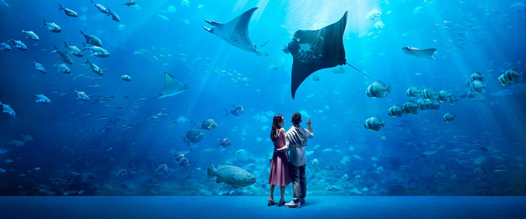 S.E.A. Aquarium