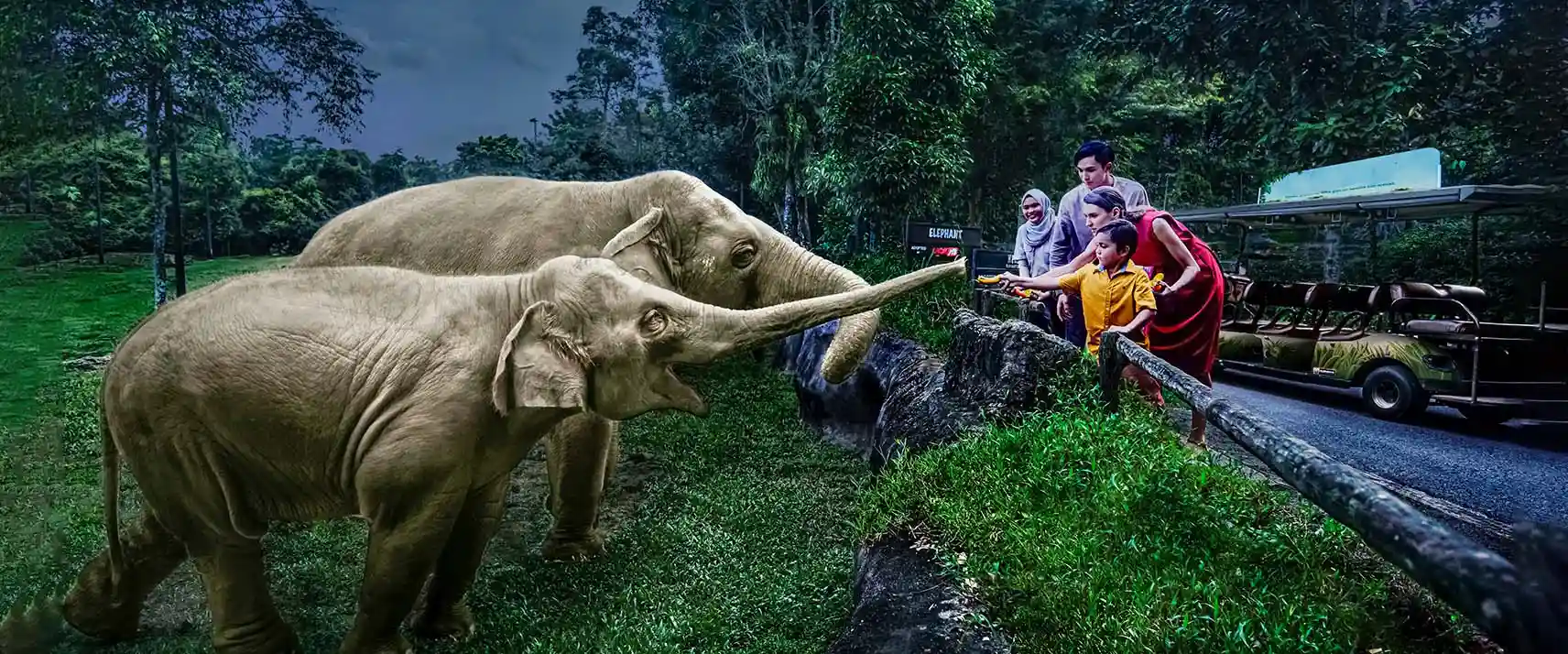Night Safari in Bali