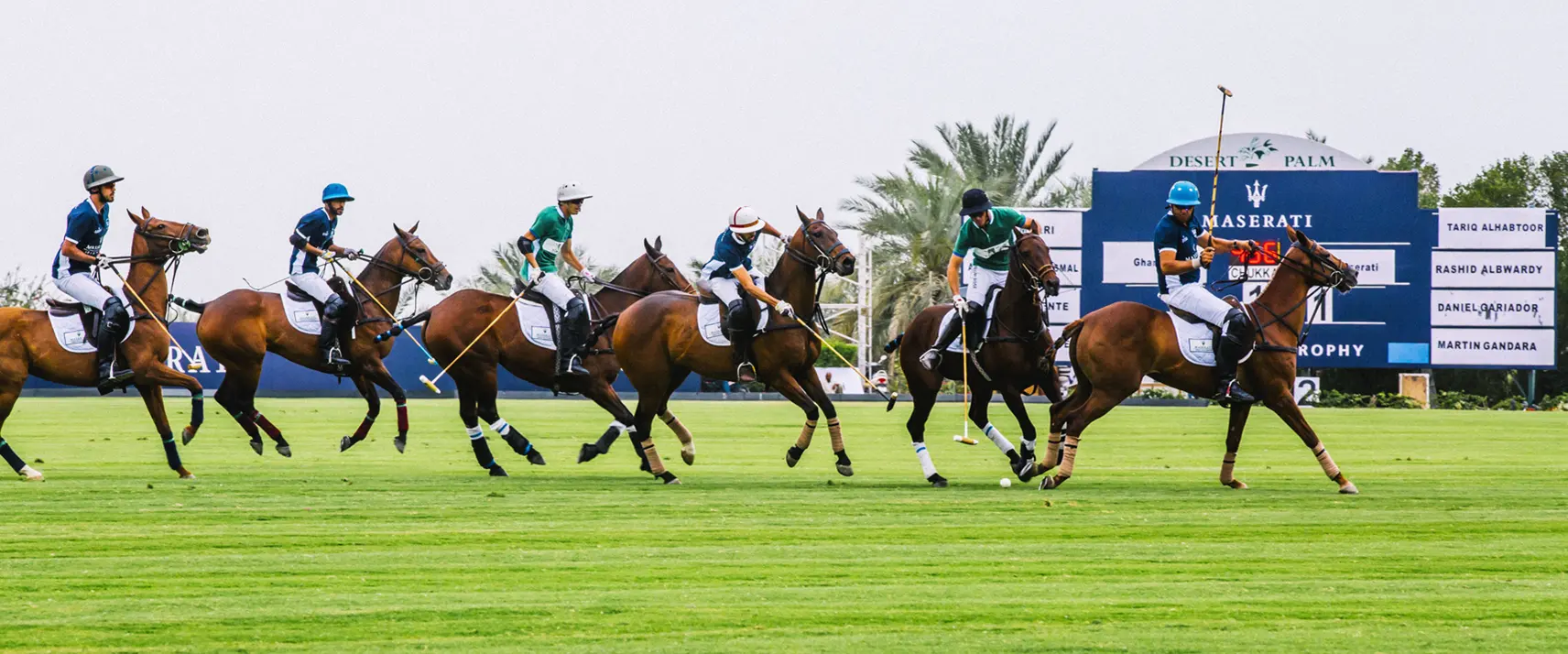 Polo tournament