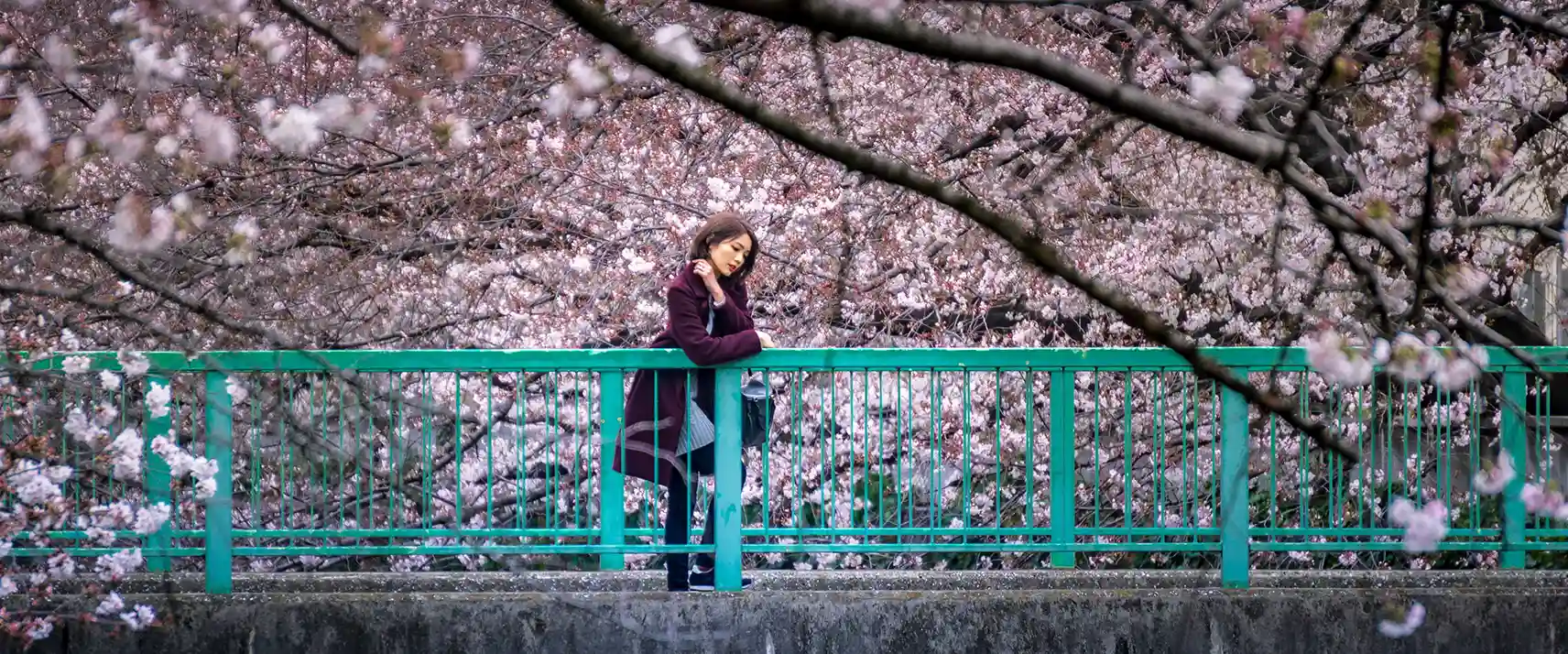 Omokage Bridge