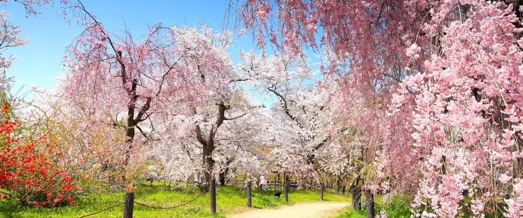 Maruyama Park