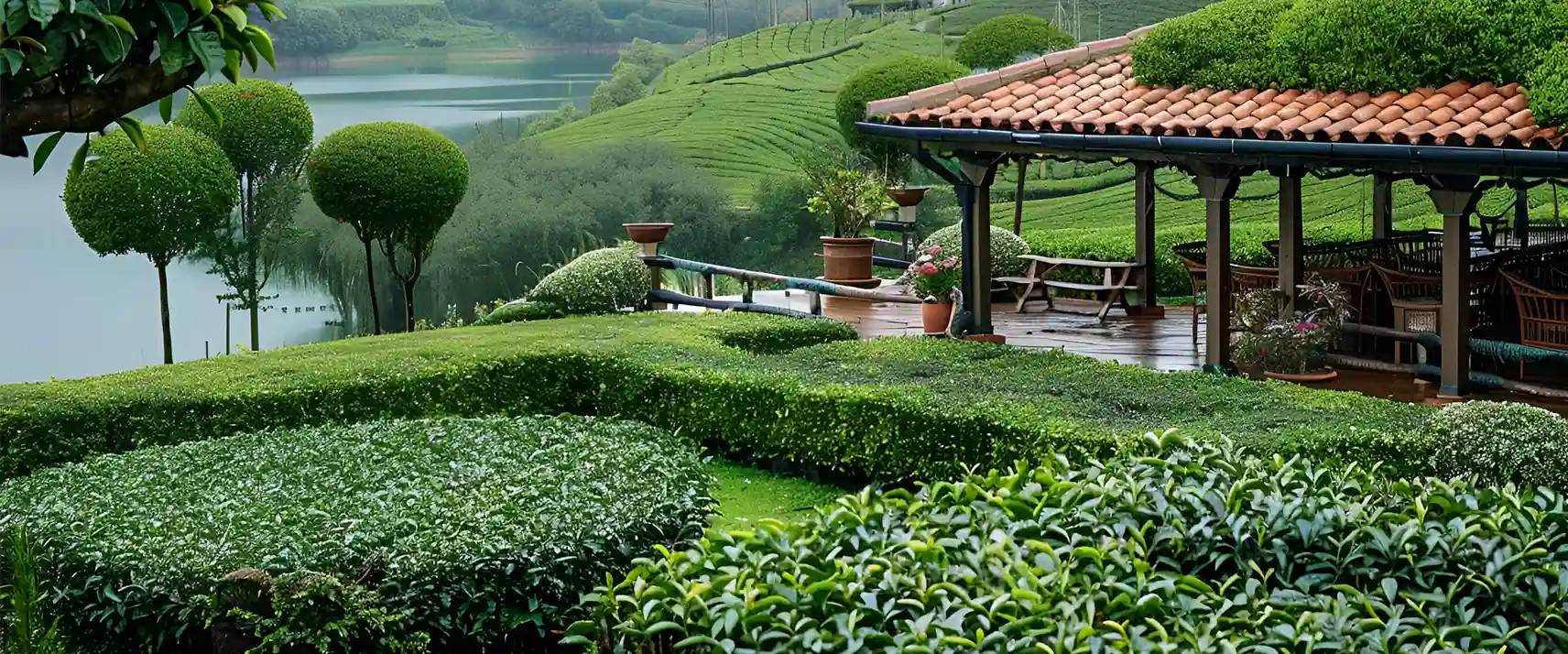 Bois Chéri Tea Plantations
