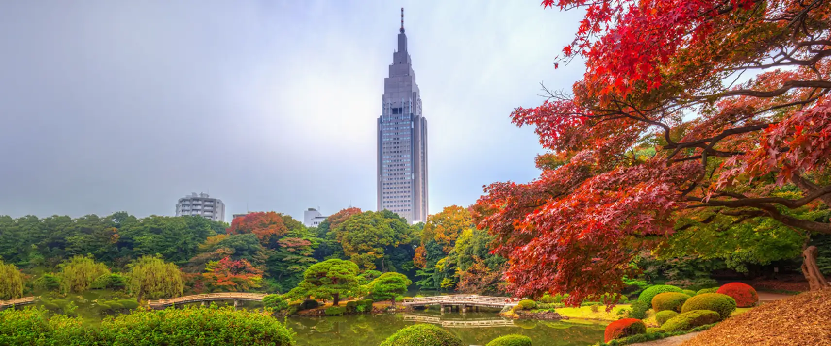 Shinjuku Gyoen