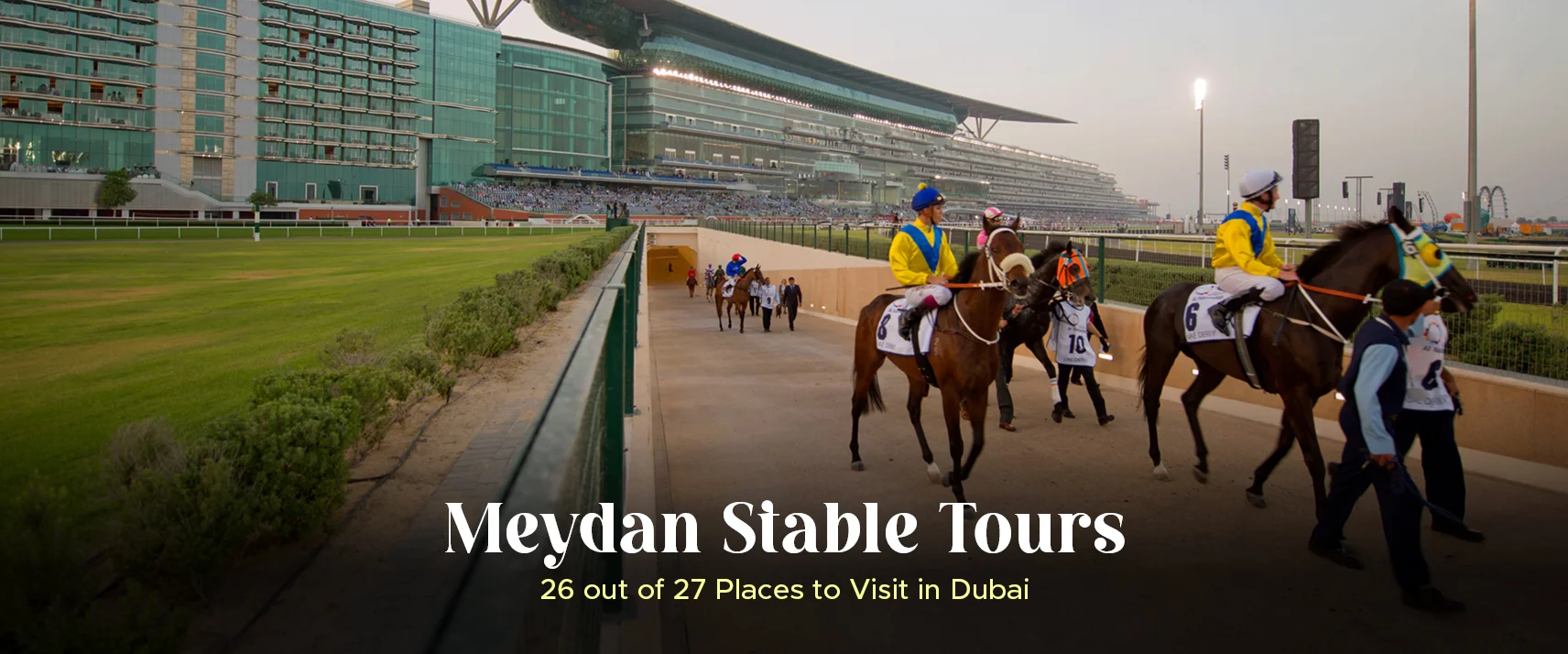 Meydan Stables