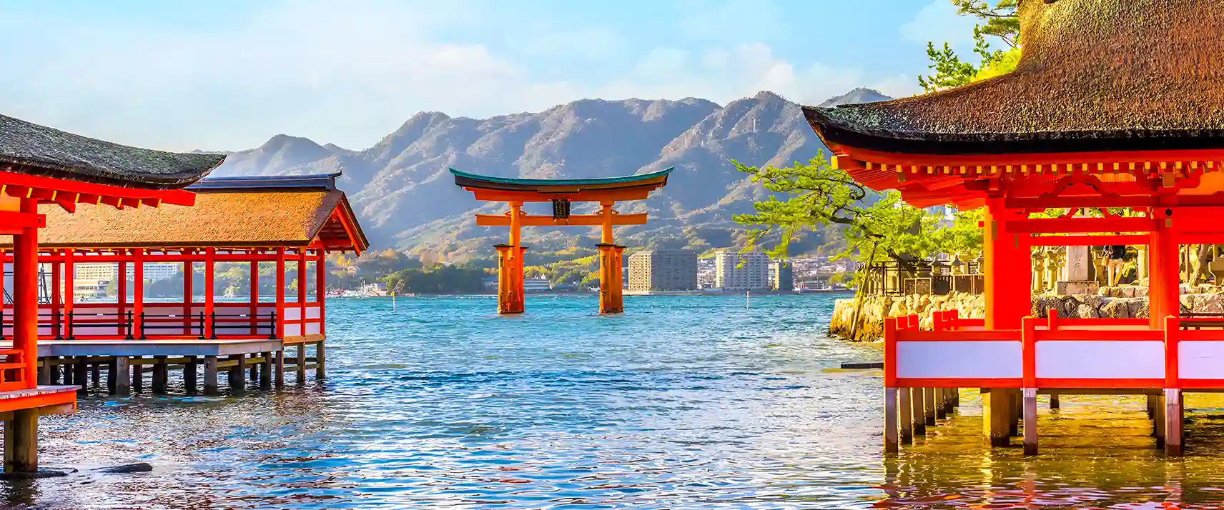 Get Surprised by the Beauty of Japan