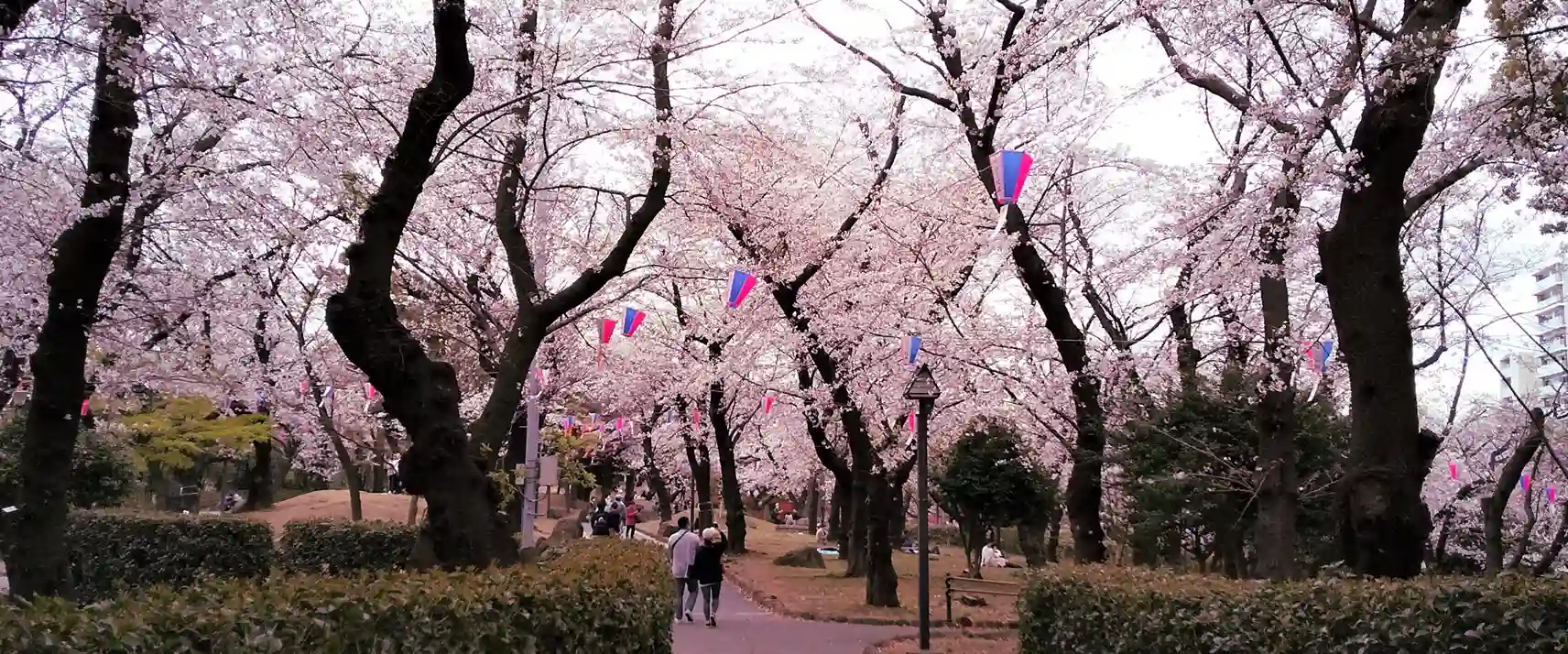 Asukayama Park