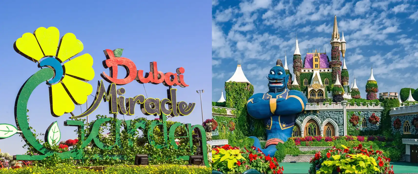 Dubai Miracle Garden