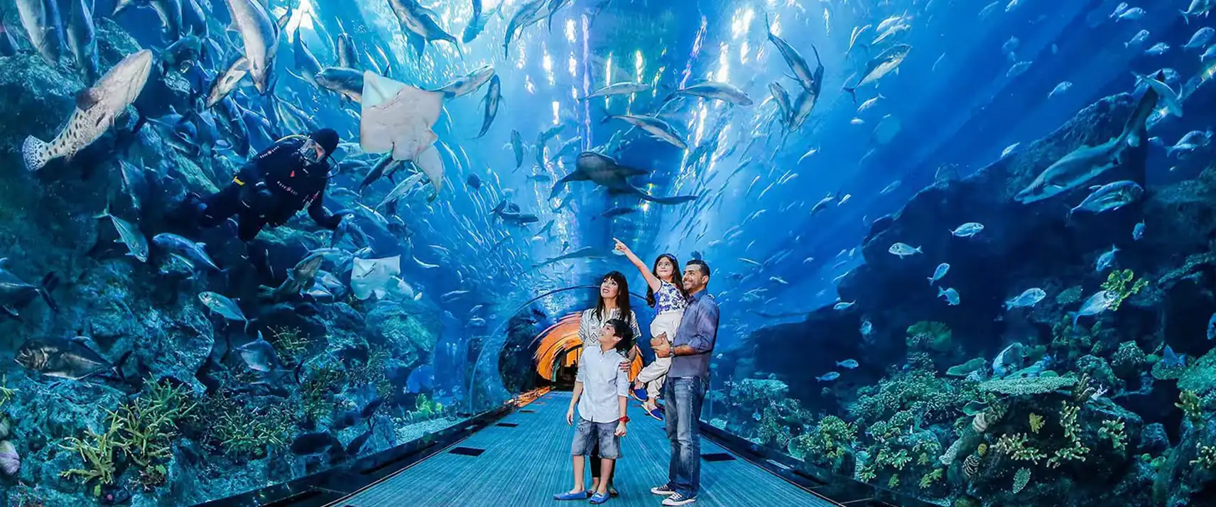 Dubai Aquarium and Underwater Zoo