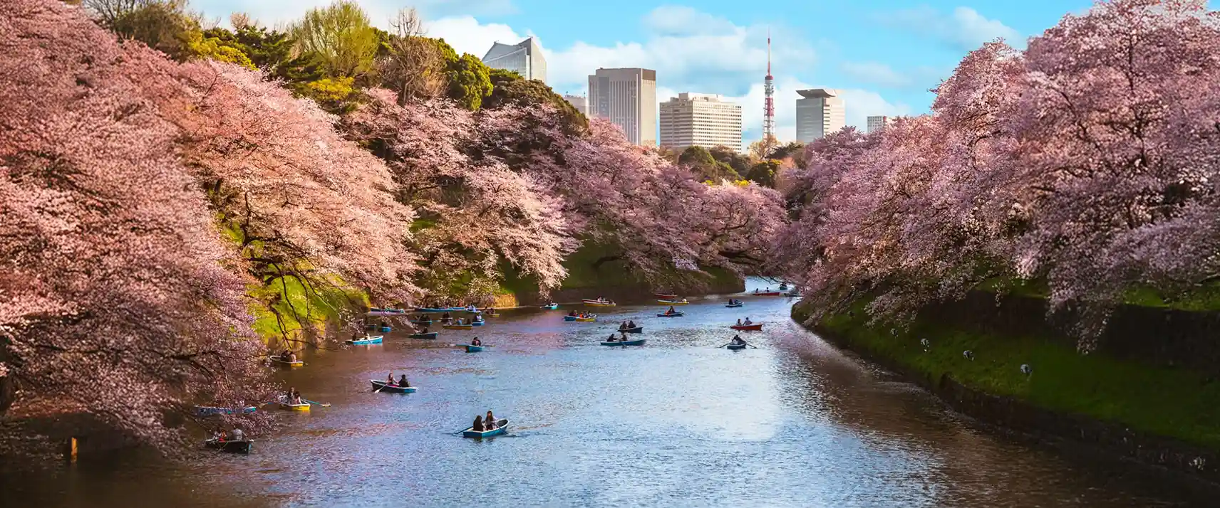 Sengawa River