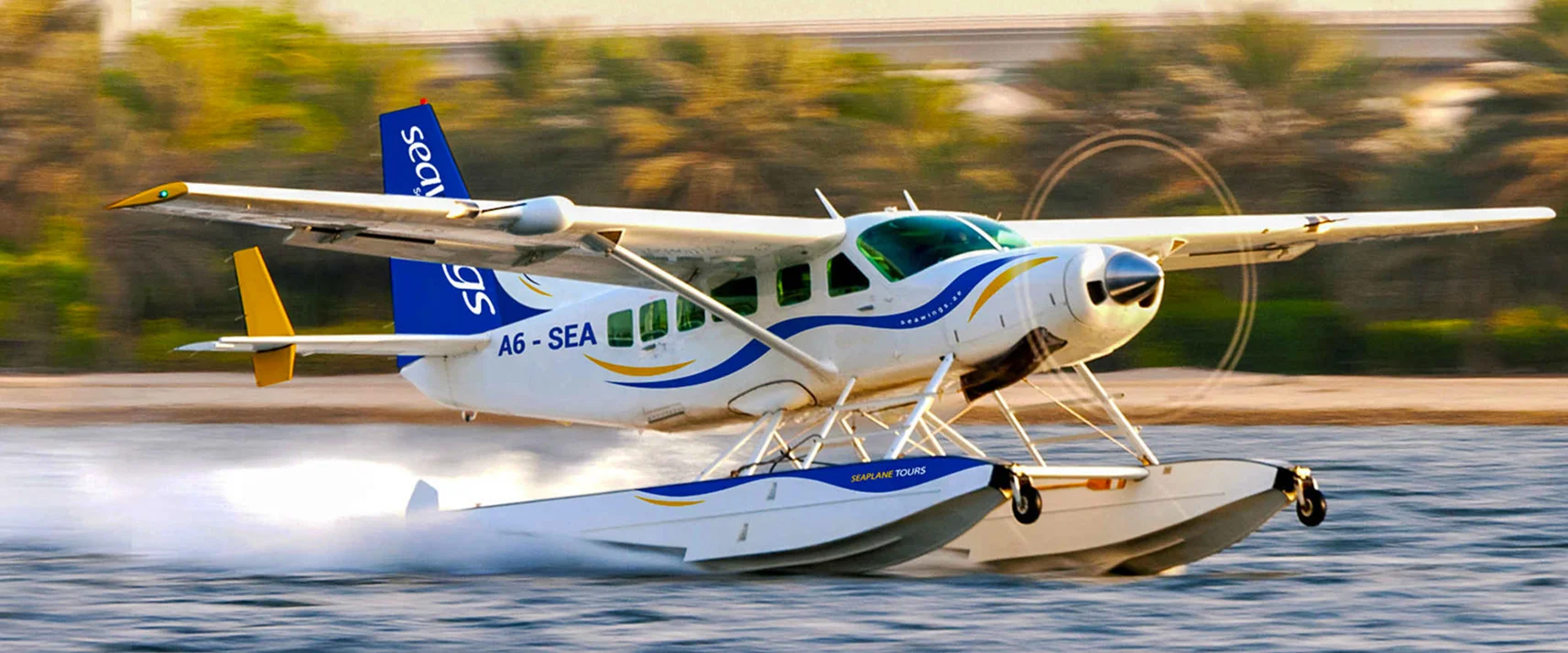 Seaplane Flights